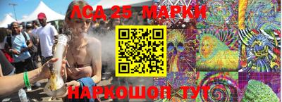 гидропоника Будённовск