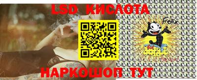 гидропоника Будённовск